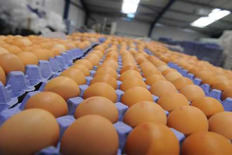 Supermarket egg rationing warning as shortage of key fry-up ingredient looms