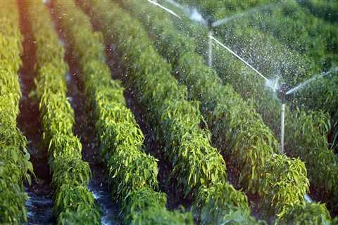 How To Choose The Right Irrigation System For Your Investment Property in Omaha