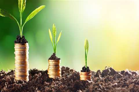 What is Sustainable Investing and How Can It Help You Succeed?