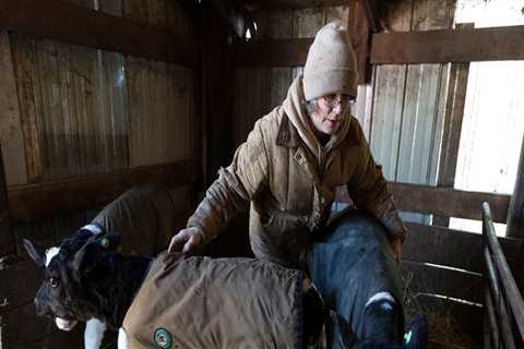 The Dairy Industry in Eau Claire, Wisconsin: A Vital Part of the Local Economy