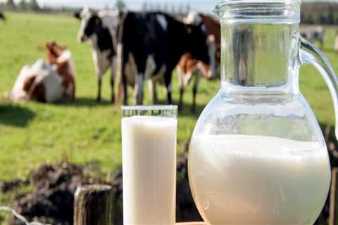 The Impact of Consumer Demand for Convenience Products on Dairy Production in Eau Claire, Wisconsin