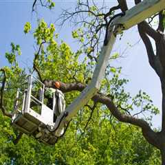 Revamp Your Property: The Ultimate Guide To Tree Service In West Newbury For Fix And Flip Projects