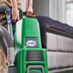 Why Carpet Cleaning Should Be A Priority For Chicagoans Flipping Houses