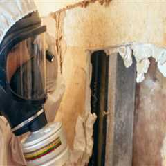 Navigating Mold Remediation In Tri-Cities: A Guide For Investing In Condominiums