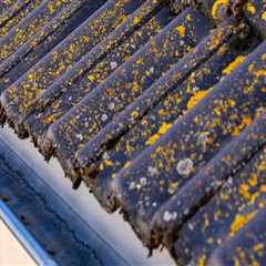 Protect Your Investment: Rain Gutter Installation In Orlando When Flipping Houses