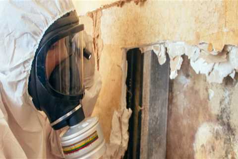 Navigating Mold Remediation In Tri-Cities: A Guide For Investing In Condominiums
