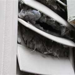 Why Professional Duct Cleaning Services Are Essential For Flipping Houses In Portland